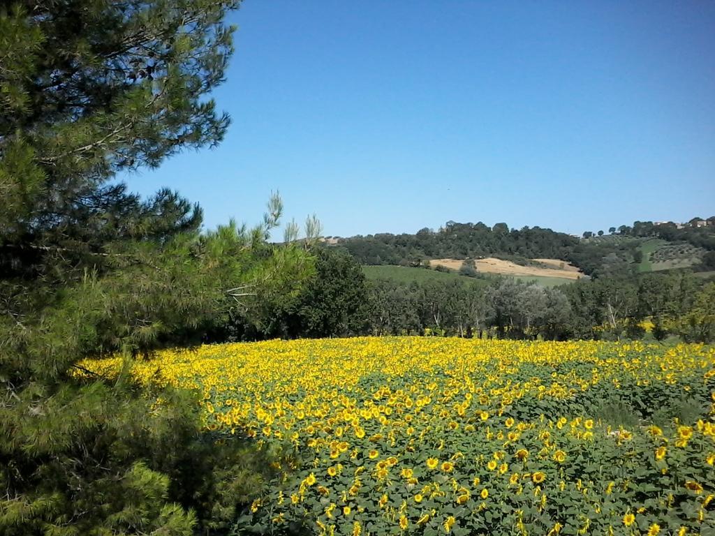 Bed And Breakfast Casale Isorella San Gemini Bagian luar foto