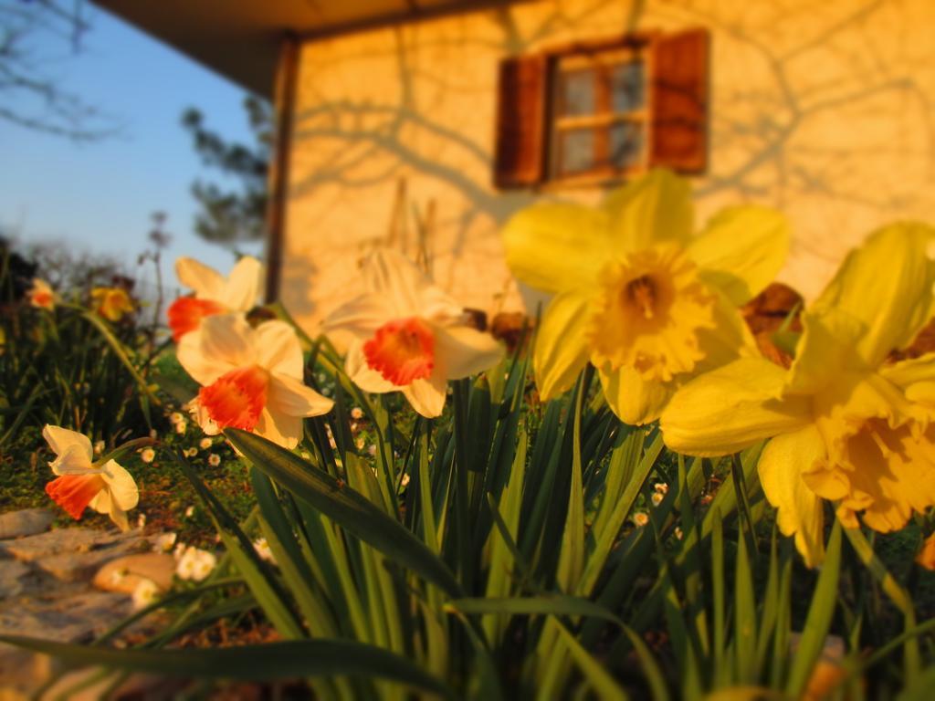 Bed And Breakfast Casale Isorella San Gemini Bagian luar foto