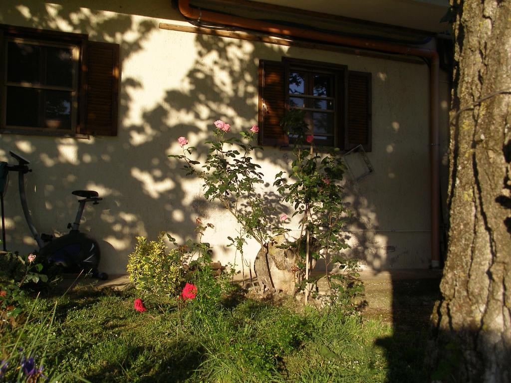 Bed And Breakfast Casale Isorella San Gemini Bagian luar foto