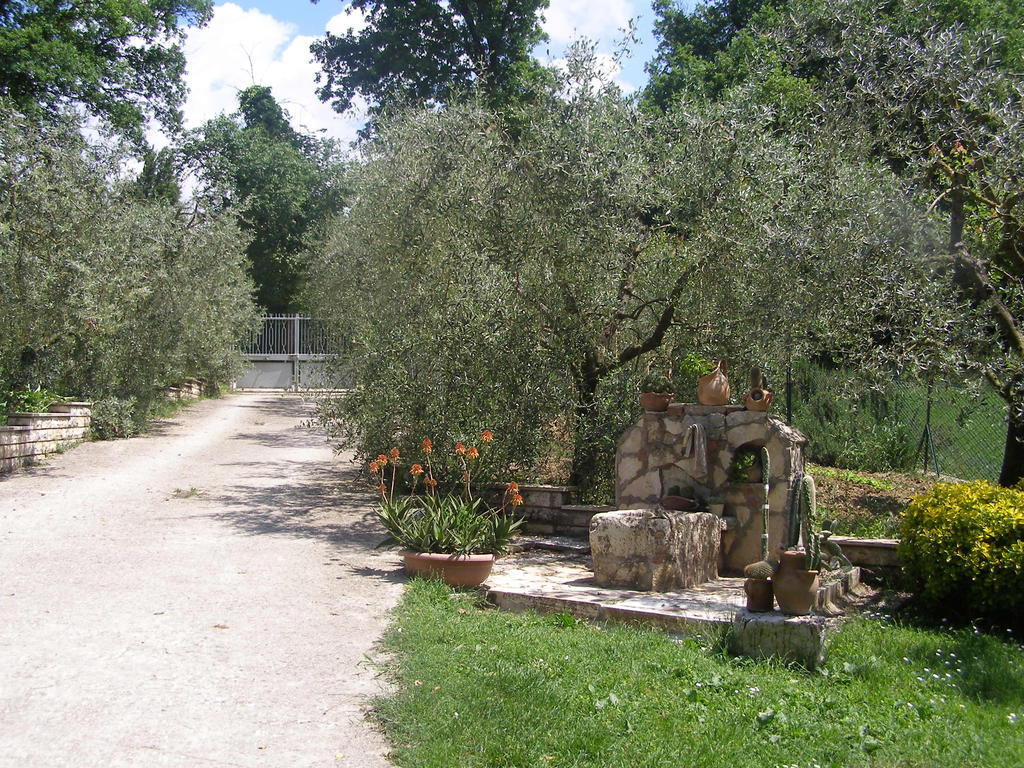 Bed And Breakfast Casale Isorella San Gemini Bagian luar foto