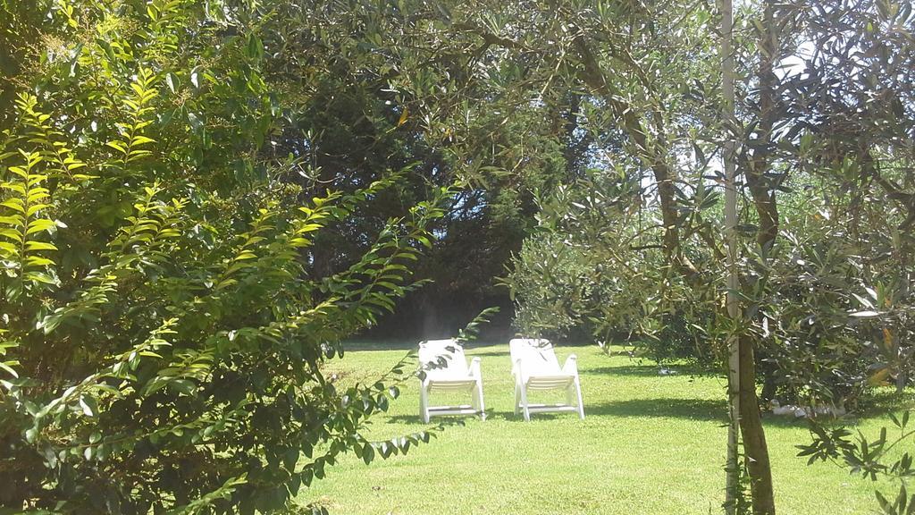 Bed And Breakfast Casale Isorella San Gemini Bagian luar foto