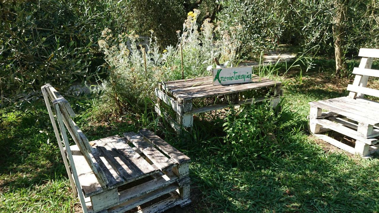 Bed And Breakfast Casale Isorella San Gemini Bagian luar foto