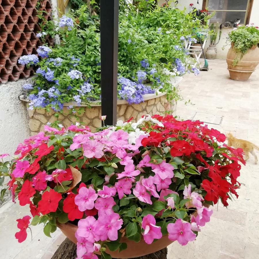 Bed And Breakfast Casale Isorella San Gemini Bagian luar foto